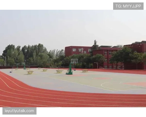 人工草场影响判罚吗?规则如何界定场地条件对比赛的影响